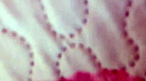 wanna see my fat curvy ass shaking?