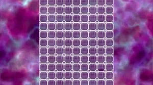 love paradise full h-scenes collection