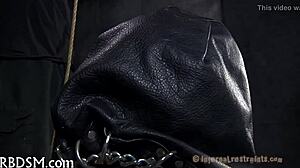 Ever seen real punishment like this raw and brutal?