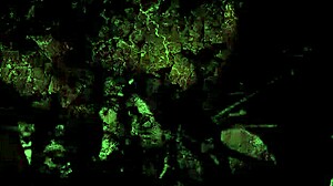 imagine vintage christmas turning into wild retro antique fun