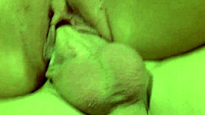 Brooklyne Lee in Fishnets and Heels Gets Fucked Hard by Barry Scott