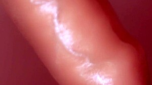 japanese girl kneels close up slurping cock before swallowing every drop of hot cum uncensored