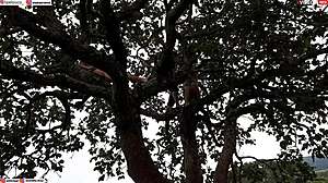 Ripping Clothes Off Blonde and Brunette Tree Fuck Orgy!