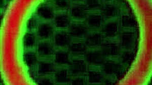 salacious sara jay rides her fastest dildo again fucking her big pussy deep