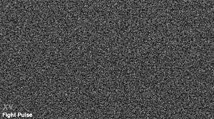 i lost to her in real mixed wrestling mx-38 fight pulse domination