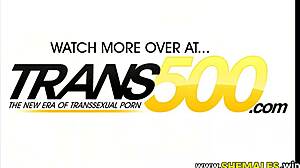 Petite Blonde Tranny Assfucked Hard By Debt Collector Slut