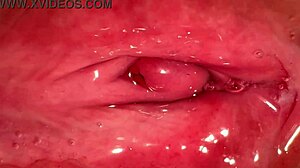 Amateur milf licks shaved pussy 172 days post virginity loss close up wet!