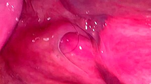 Amateur milf licks shaved pussy 172 days post virginity loss close up wet!