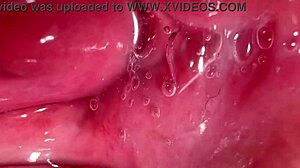 Amateur milf licks shaved pussy 172 days post virginity loss close up wet!