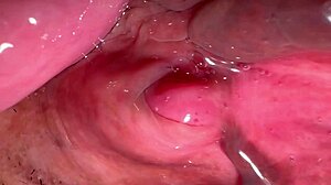 Amateur milf licks shaved pussy 172 days post virginity loss close up wet!