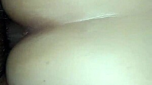 Chubby Ass Looks Tempting on All Fours