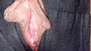 innocent wife cheats rough gets creampied hard again