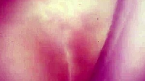 Soccermom1978 Argentina Demands Anal Stranger Assfucking