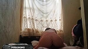 curvy colombian schoolgirl in fishnets rides cock hard