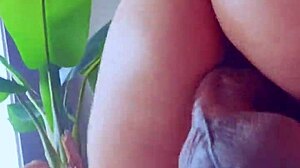 brazilian big ass teen babe strokes and bounces on massive bbc in homemade ride