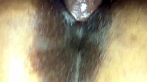 Homemade close up of black big ass pussy