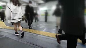 snuck in after picnic date to creampie her tight pussy