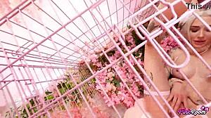 Kasara Wood Rims Sucks Fucks in Pink Room Submission