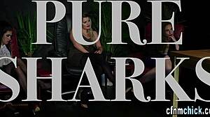 Cock jerking mistress in stockings milks humiliated guy dry!!