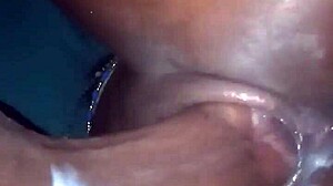 twisted cock dares big ass to pose just right in this cheeky game