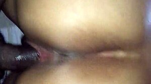 devouring my hot brazilian girlfriend's pussy nonstop