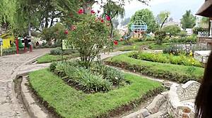 wanna see this horny latina squirt wild for cash?