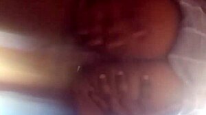 Elle S'assoit Sur Une Bite Le Cul À L'air