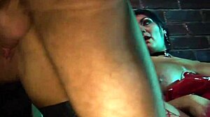 kit lee and kat lee twins take bareback pounding in every hole from big cocks to cum facials and doggystyle rides