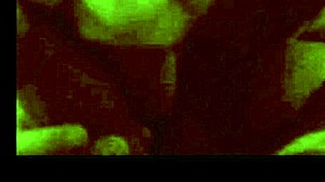 secretary drops to knees for sloppy deep boquete action