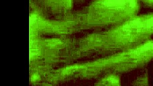 secretary drops to knees for sloppy deep boquete action