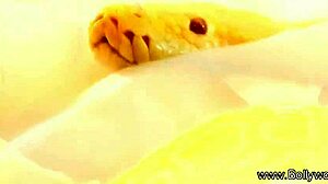 watch this indian milf brunette tease you senseless 🔥