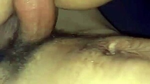 Special Guest Fuck Compilation Full Movie Hidden in Bio