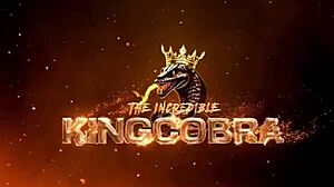 Tight Ass Begs for Hot Cobra Cum