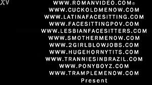 cuckold guy hooks up while tera knightly sits on his face