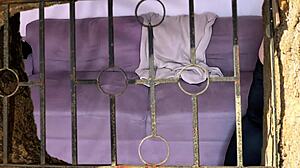 My big-ass neighbor knows I'm watching her teasing show