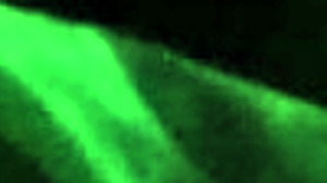 check out this bbw milf deepthroating like a fuck doll?