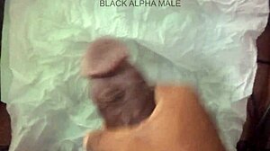 damn after jail i rub my pussy so hard moaning for bbc!