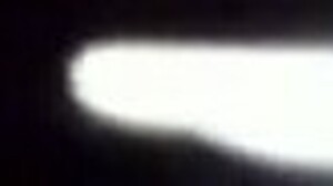 Teen Tastes Midnight Black Monster Cock in Homemade Blowjob Bliss