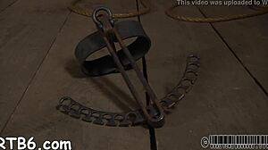 brunette bombshell drops to knees for hardcore cock sucking session