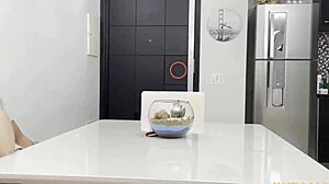 quer saber como comi o cu da cunhada enquanto a mulher cozinhava? ela gemeu gostoso no meu pau