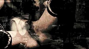 Dark Lantern unleashes two centuries of hairy milf blowjobs and fucks!