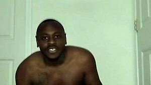 Fun lyrics reimagined wildly!