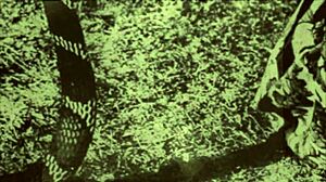 Lost in vintage hairy beaver beauty craving retro pussy pleasure forever