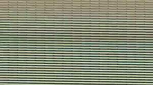 Amateur Home Video Capture July 2016