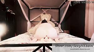 bbw wife pussy stuffed dildo ass rammed cock preview