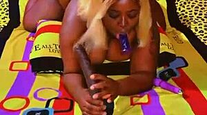 sundaydogood614 drops update 589 from november 3rd