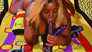 sundaydogood614 drops update 589 from november 3rd