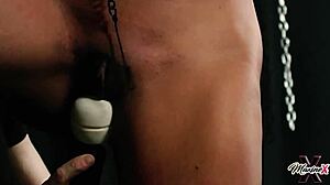 maxine x tempts with her hardcore bdsm body scenes