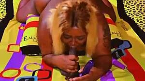 sundaydogood614 drops update 589 from november 3rd