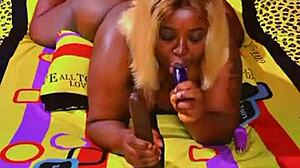 sundaydogood614 drops update 589 from november 3rd